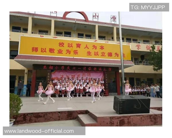 柴彪的奋斗历程与人生哲学探讨：从平凡到卓越的成长之路