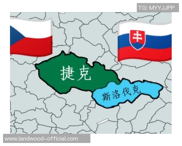 2018年欧国联捷克对阵斯洛伐克精彩回顾与赛后分析 2018年欧国联捷克对阵斯洛伐克精彩回顾与赛后分析