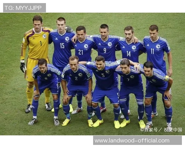 丹麦与波黑友谊赛精彩对决展现足球魅力与团队精神 丹麦与波黑友谊赛精彩对决展现足球魅力与团队精神