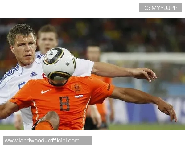 斯洛伐克与荷兰世界杯对决回顾及精彩瞬间分析