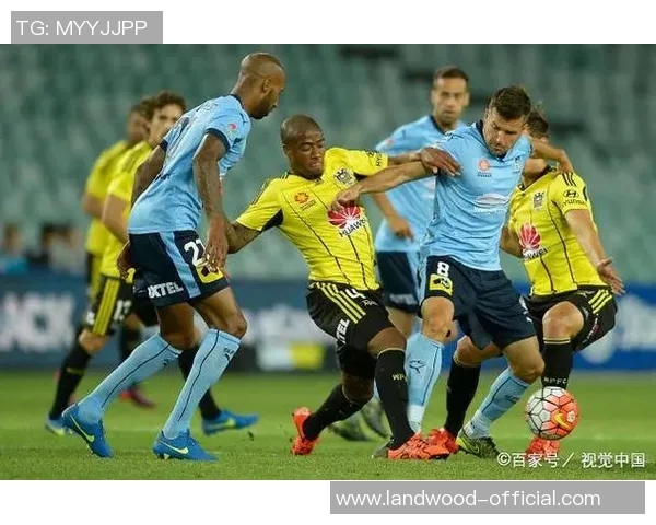 今天惠灵顿凤凰迎战悉尼FC期待一场精彩的足球对决与激情碰撞 今天惠灵顿凤凰迎战悉尼FC期待一场精彩的足球对决与激情碰撞