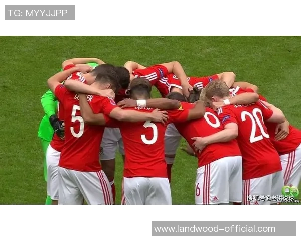 斯洛伐克对阵威尔士精彩直播时间及观看方式全攻略 斯洛伐克对阵威尔士精彩直播时间及观看方式全攻略