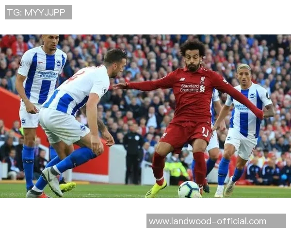 图片报:克洛普接手德国队情况乐观 图片报:克洛普接手德国队情况乐观