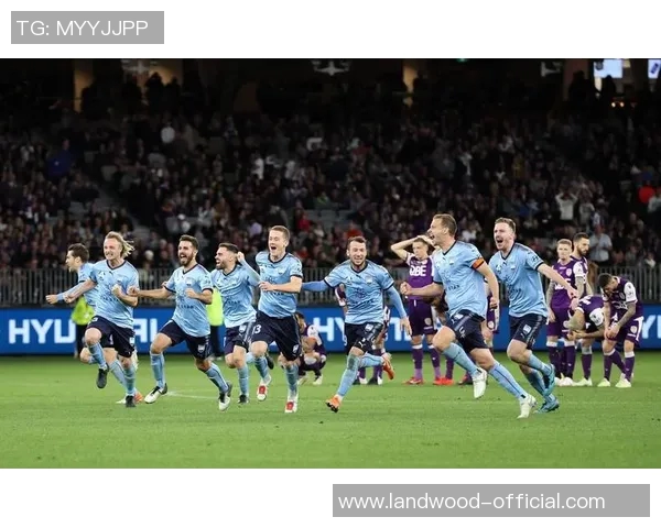 墨尔本城与悉尼的精彩对决结果揭晓分析与赛后点评 墨尔本城与悉尼的精彩对决结果揭晓分析与赛后点评