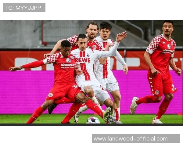 荷甲ds赛季精彩回顾与未来展望球迷热情不减的足球盛宴