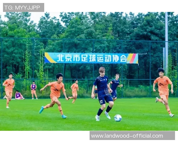 京多安的职业生涯回顾与未来展望：从德甲明星到英超巨星的蜕变之路