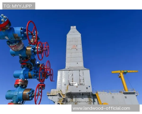 亚马尔地区的能源战略与全球气候变化的互动分析